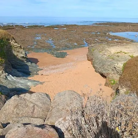 度假居 Et Commerces A Pieds ! Eugene *