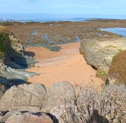 Prázdninový dům Et Commerces A Pieds ! Eugene *